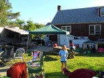 back yard